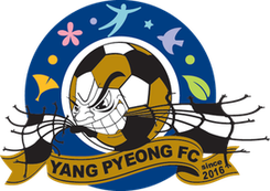 杨平首发阵容